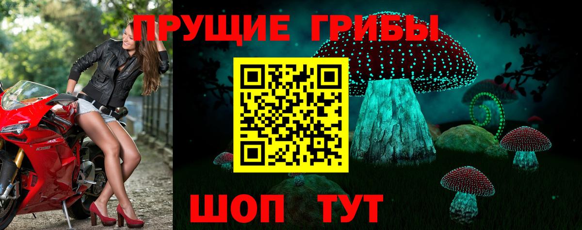 Псилоцибиновые грибы мицелий  Вход с VPN  Черняховск 